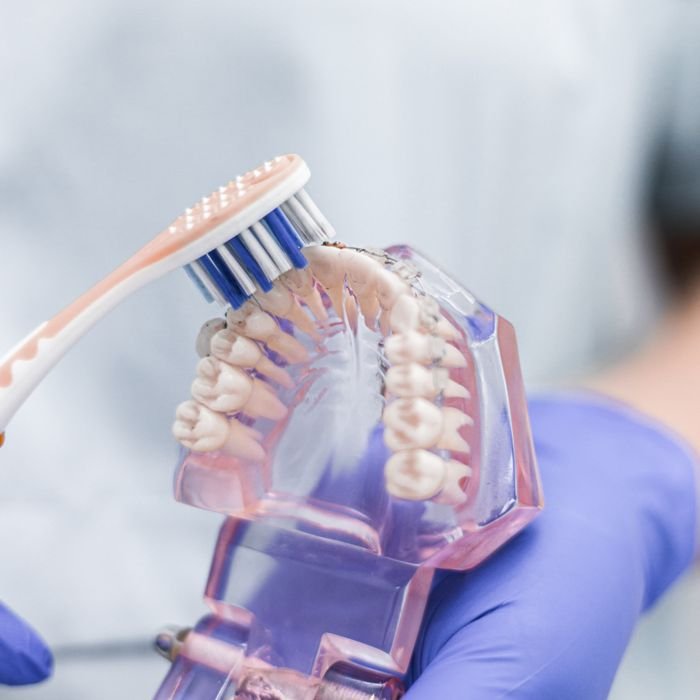 Close-up of toothbrush cleaning a dental model, showcasing oral hygiene techniques.